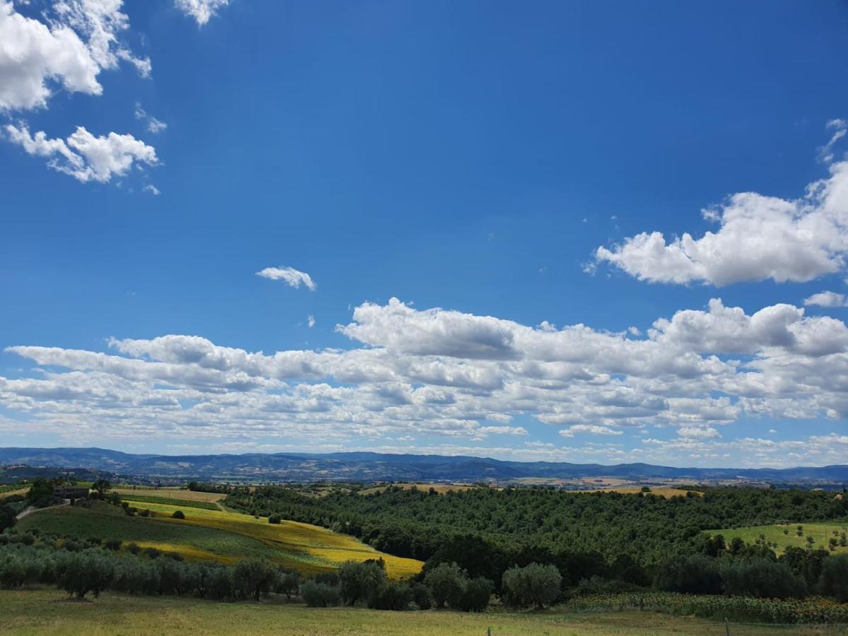 La Collina Bed & Breakfast Deruta Dış mekan fotoğraf