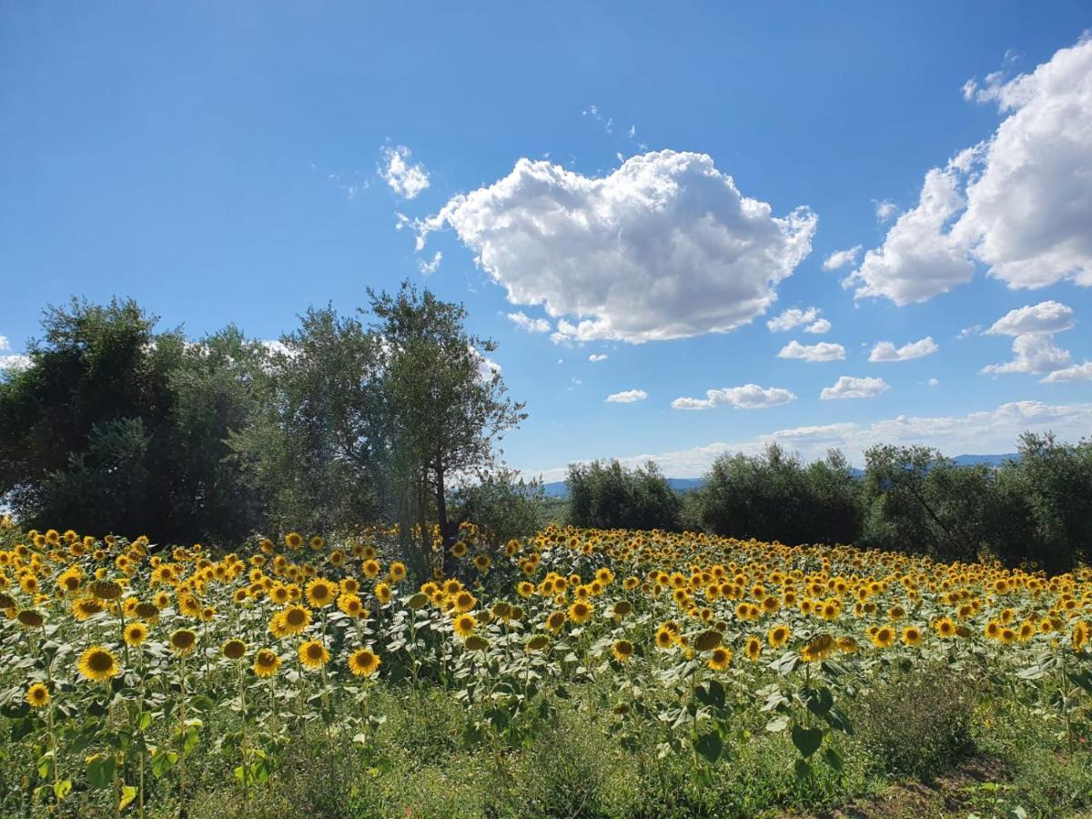 La Collina Bed & Breakfast Deruta Dış mekan fotoğraf